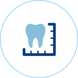 Tooth Measurement