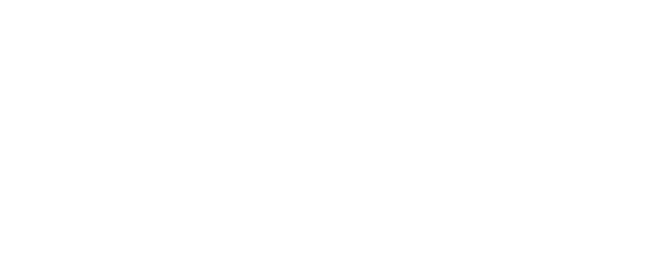 RAPIDEYE Logo