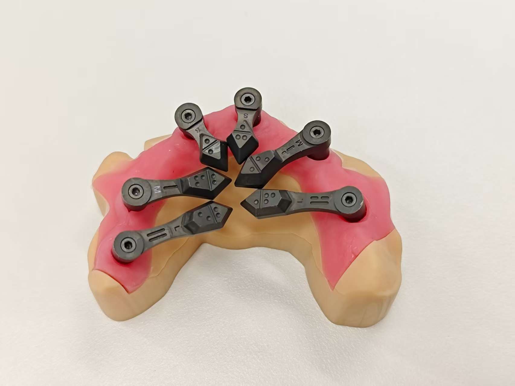 Orion scan bodies with coded dot matrix on a model